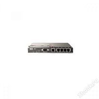 HP BladeSystem cClass GbE2c Gigabit Ethernet Blade Switch (410917-B21)