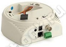 Panda IP Basement WiFi