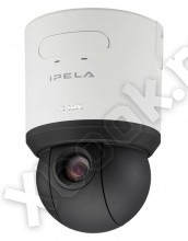 Sony SNC-RS46P
