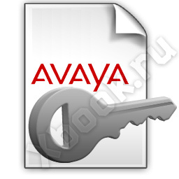 Лицензия Avaya 171988
