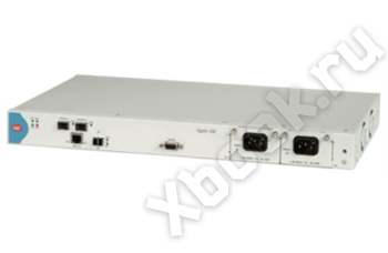 Шлюз RAD для агрегации трафика EGATE-100/48R/NULL/NULL/NULL/FULL