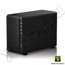 Synology DX213