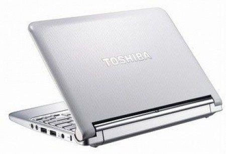Ноутбук Toshiba NB305-10K