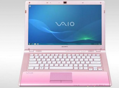 Sony VAIO VPC-CW2S1R/P вид боковой панели