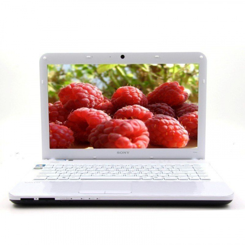 Sony VAIO VPC-EK3S1R/W вид спереди