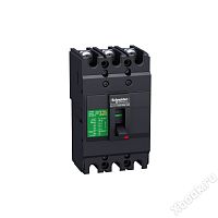 Schneider Electric EZC100F3045