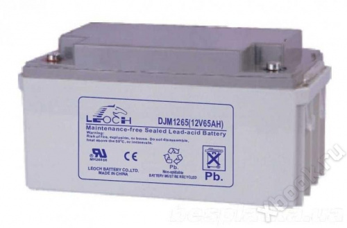 Leoch DJM1265 вид спереди