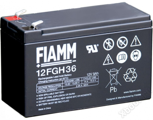 FIAMM 12FGH36 вид спереди