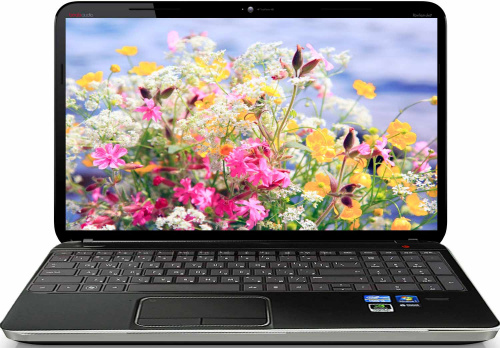 Ноутбуки Hp Pavilion Dv6 Цена