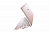 ASUS Eee PC 1015PW Pink задняя часть