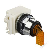 Schneider Electric 9001KP38LYA31