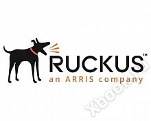 Ruckus E25G-SFP28-TWX-P-0101