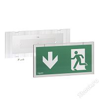 Schneider Electric P1220-FWH0