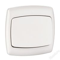 Schneider Electric S16-067-BI