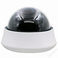 EverFocus ACE-IOV50X