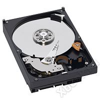 EverFocus 1Tb