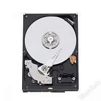 Western Digital WD RE2 160 GB (WD1601ABYS)
