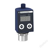 Schneider Electric XMLR010G2P05