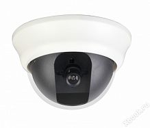 AltCam ADF81