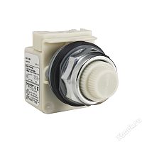 Schneider Electric 9001KP1W31