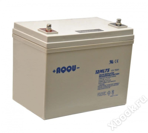 AQQU 12ML75 вид спереди