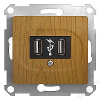Schneider Electric GSL000532