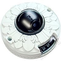 ActiveCam MYAC-D4151IR1 «Лепнина»