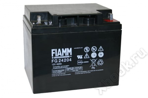 FIAMM FG24204 вид спереди